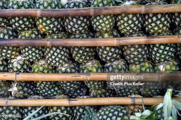 stacked pineapples, hua hin, thailand - epiphyte stock pictures, royalty-free photos & images