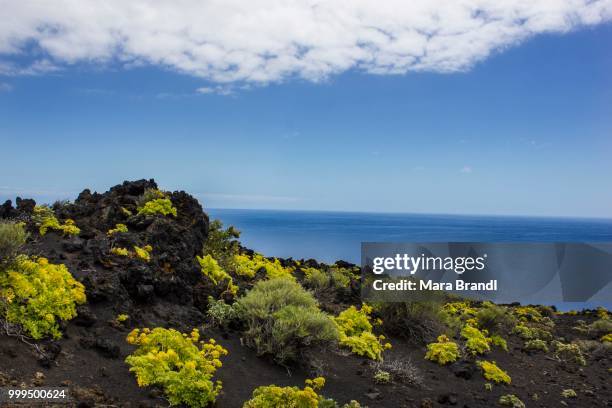 volcano landschaft, lava landscape, south cape of punta de fuencaliente, monumento natural de los volcanes de teneguia park, fuencaliente, la palma, canary islands, spain - monumento stock-fotos und bilder