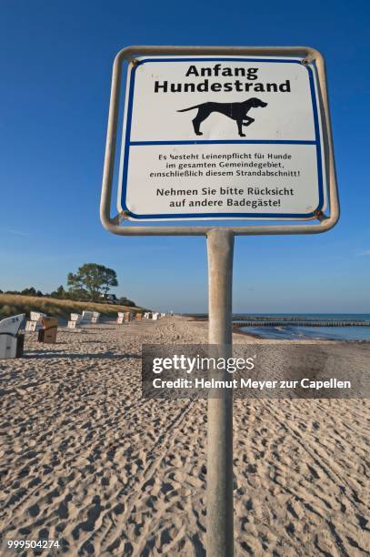 information board, anfang hundestrand or start of the dog beach, ahrenshoop, darss, fischland-darss-zingst, mecklenburg-western pomerania, germany - anfang fotografías e imágenes de stock