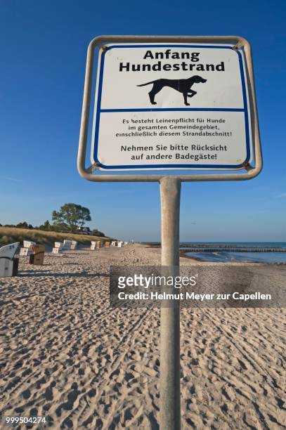 information board, anfang hundestrand or start of the dog beach, ahrenshoop, darss, fischland-darss-zingst, mecklenburg-western pomerania, germany - anfang stock pictures, royalty-free photos & images