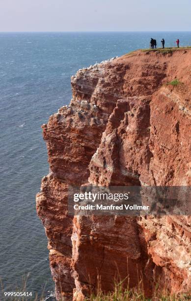 sandstone cliffs, heligoland, schleswig-holstein, germany - schleswig holstein stock pictures, royalty-free photos & images