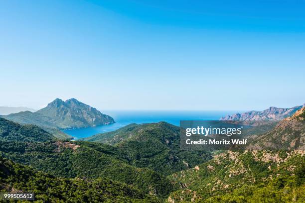 forested mountains on the coast, gulf of porto, corsica, france - moritz stock-fotos und bilder