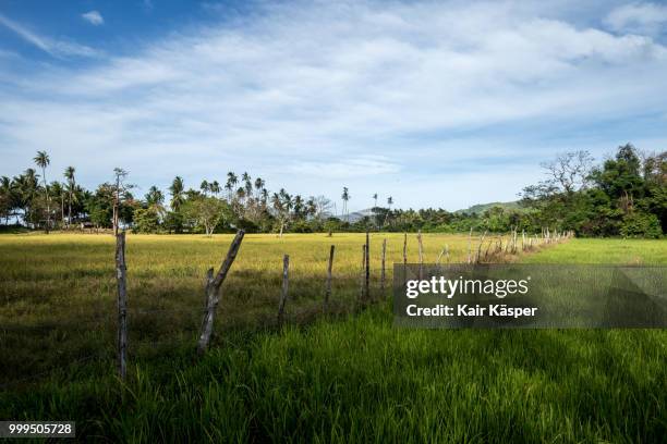 fields of duli in el nido, philippines - nido stock pictures, royalty-free photos & images