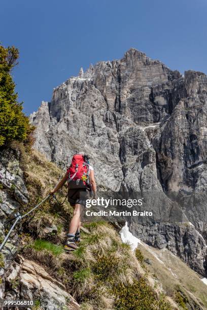 hikers during the ascent to the lampskopf on the via ferrata in pflersch, behind the tribulaun, goglberg, pflerscher valley, wipptal, brenner, eisacktal, province of south tyrol, trentino-alto adige, italy - no alto stock-fotos und bilder