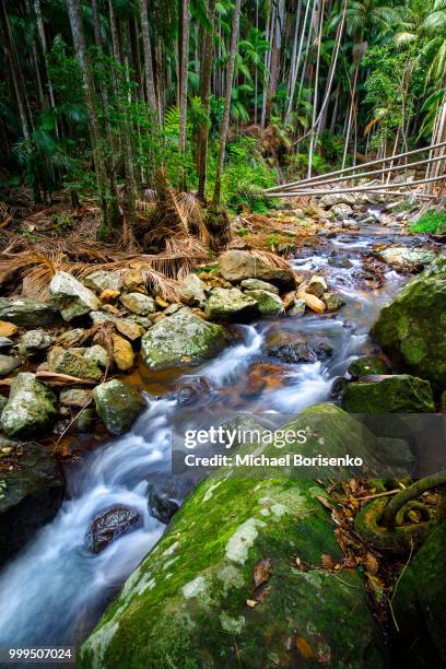 cedar creek - cedar river stock pictures, royalty-free photos & images