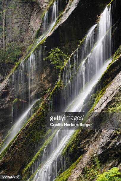 waterfall, wimbachklamm, berchtesgaden, upper bavaria, bavaria, germany - berchtesgaden national park 個照片及圖片檔