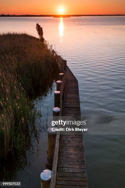 jetty in the bodden, shallow lagoon, sunset, baltic , zingst, fischland-darss-zingst, mecklenburg-western pomerania, germany - dirk fotografías e imágenes de stock