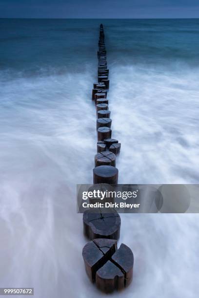 breakwaters or groins, blue hour, baltic sea, zingst fischland-darss-zingst peninsula, mecklenburg-western pomerania, germany - dirk fotografías e imágenes de stock