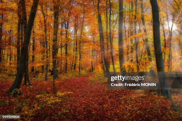 autumn at pierrefond in oise - oise stockfoto's en -beelden