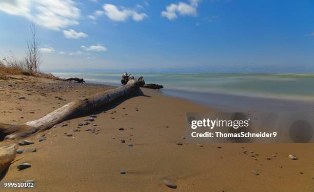 silence at the beach - schneider stock pictures, royalty-free photos & images