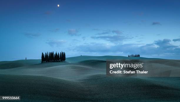 tuscany waves - italian cypress fotografías e imágenes de stock