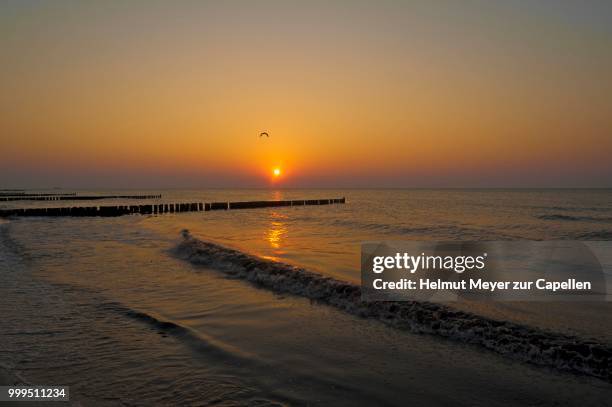evening sun on the baltic sea, in front groin with seagull, ahrenshoop, darss, mecklenburg-western pomerania, germany - premières lueurs photos et images de collection