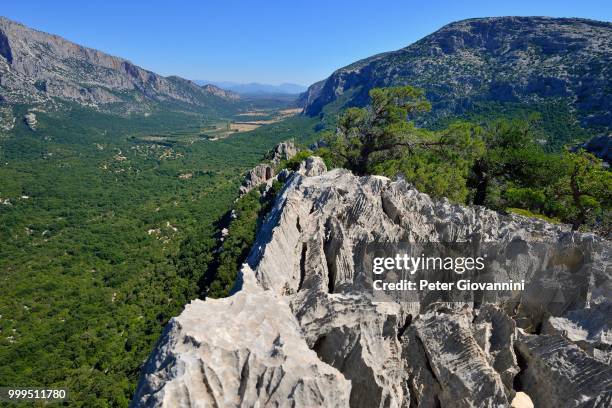 view from monte tiscali on the lanaittu valley, gennargentu national park, supramonte, province of nuoro, sardinia, italy - gennargentu stock pictures, royalty-free photos & images