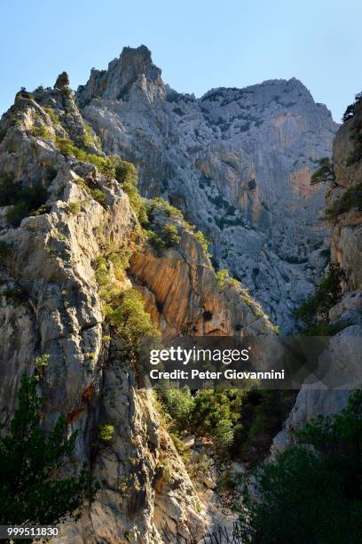 steep cliffs in the gola gorropu gorge, gennargentu national park, supramonte, province of nuoro, sardinia, italy - gennargentu stock pictures, royalty-free photos & images