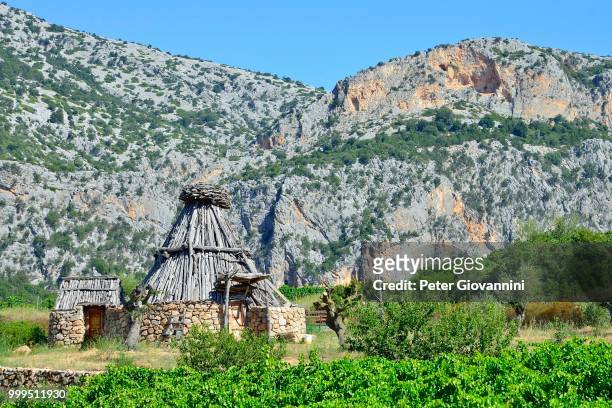 shepherd's cottage in a vineyard, gennargentu national park, supramonte, province of nuoro, sardinia, italy - gennargentu stock pictures, royalty-free photos & images