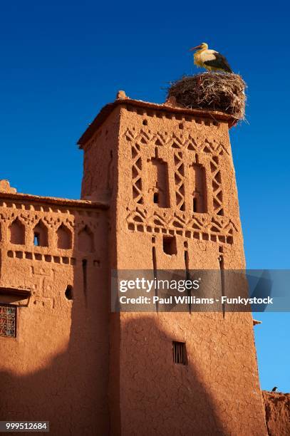 stork's nest on the mud buildings of the fortified berber ksar of ait benhaddou, sous-massa-dra, morocco - massa fotografías e imágenes de stock