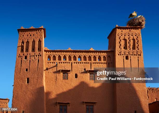 stork's nest on the mud buildings of the fortified berber ksar of ait benhaddou, sous-massa-dra, morocco - massa fotografías e imágenes de stock