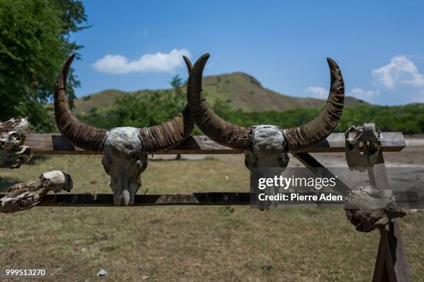 rinca island in indonesia - rinca island stock pictures, royalty-free photos & images