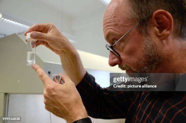Bart Panis, who is responsible for the cryopreserved collection of banana plants hosted by the University of Leuven, holds extracted parts that...