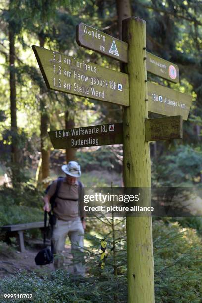 Signpost in the Harz that gives directions to different footpaths near Altenau in the Harz, Germany, 29 August 2017. Step by step new footpaths had...