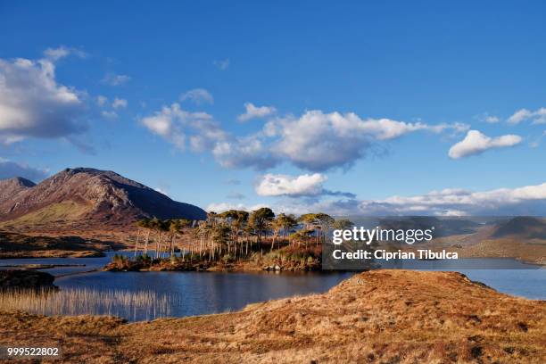 connemara - derryclare lough, twelve pines - ciprian foto e immagini stock