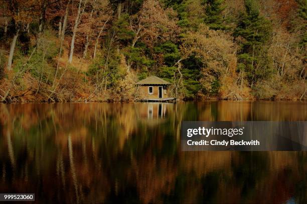 autumn shack - cindy stock pictures, royalty-free photos & images