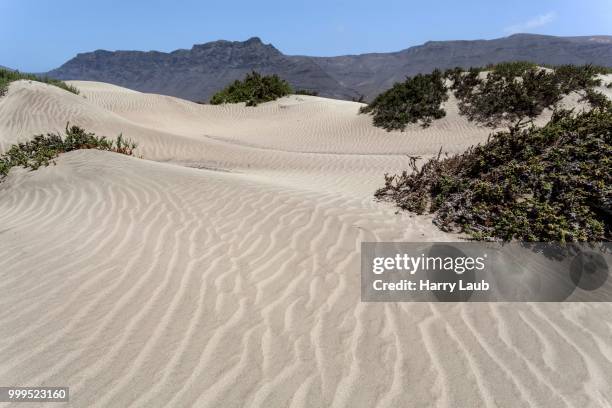 sand dunes on famara beach, playa de famara, in the back risco de famara, lanzarote, canary islands, spain - risco stock pictures, royalty-free photos & images