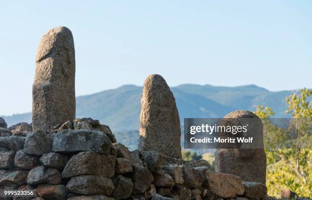 menhirs, megalithic culture, filitosa, corsica, france - menhir ストックフォトと画像