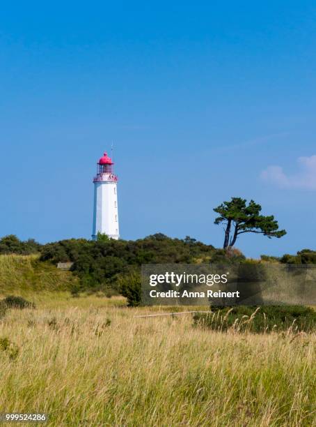 dornbusch lighthouse, hiddensee island, mecklenburg-western pomerania, germany - hiddensee stock-fotos und bilder