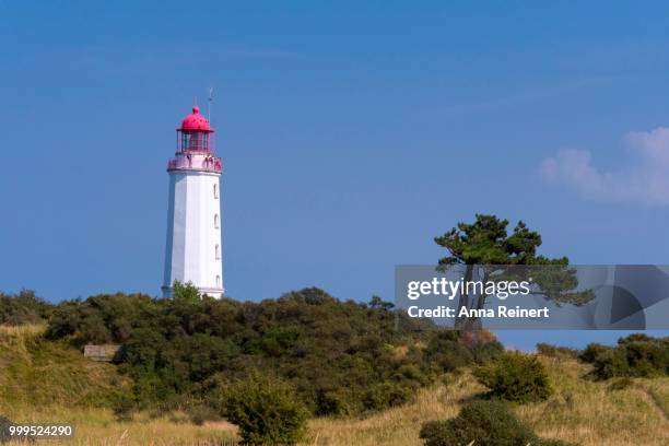 dornbusch lighthouse, hiddensee island, mecklenburg-western pomerania, germany - hiddensee stock pictures, royalty-free photos & images