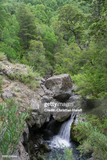 waterfall on the estero armenilo brook, parque tricahue, san clemente, maule, chile - estero stock pictures, royalty-free photos & images