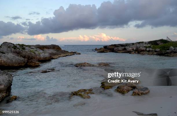 cancun, mexico. - avery stock pictures, royalty-free photos & images