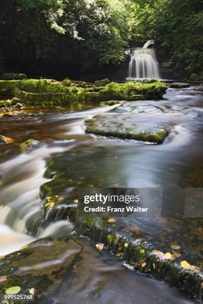 west burton falls, yorkshire, england, united kingdom - bourton on the water stock-fotos und bilder