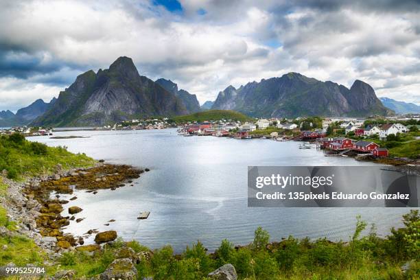 norway, lofoten island - flora gonzalez stock pictures, royalty-free photos & images