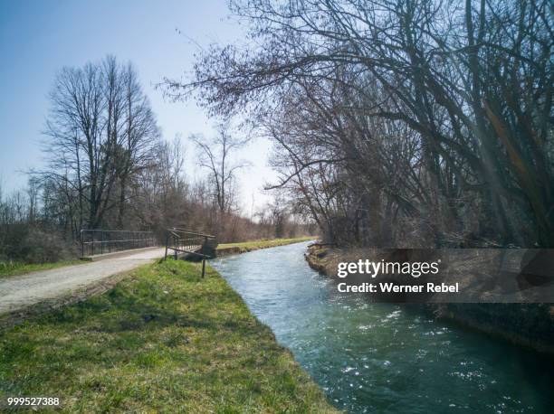 walk on a river with reflections in the sunshine - werner stock pictures, royalty-free photos & images