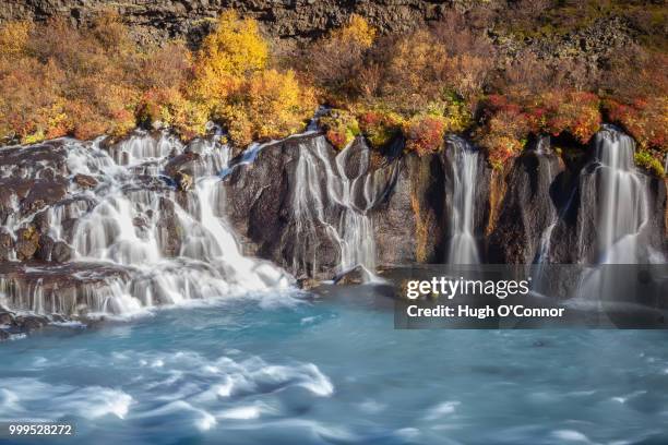 icelandic autumn - o’connor stock pictures, royalty-free photos & images