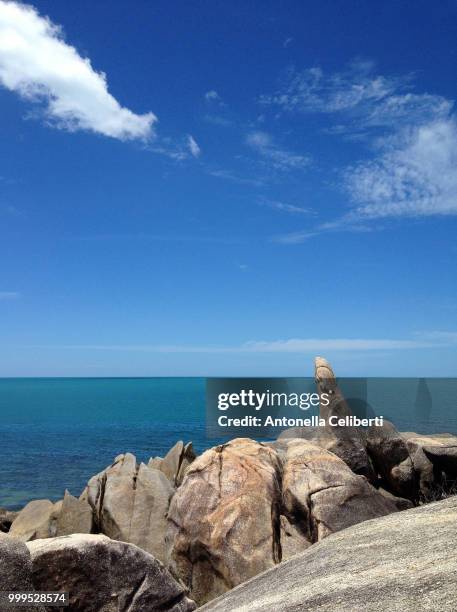 hin ta, the grandfather rock. koh samui, thailand - antonella stock pictures, royalty-free photos & images