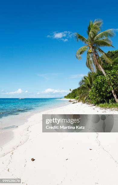 beach with palm trees, vomo island, mamanuca islands, fiji - vomo fiji stock pictures, royalty-free photos & images