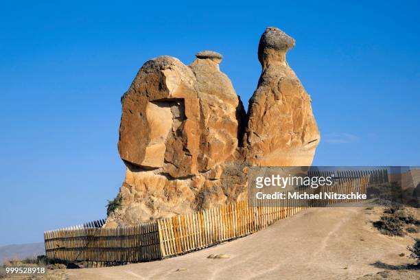 the --camel-- rock formation in devrent valley, nevsehir province, cappadocia, turkey - nevşehir province stock-fotos und bilder