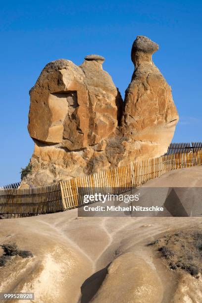 the --camel-- rock formation in devrent valley, nevsehir province, cappadocia, turkey - animal representation stock pictures, royalty-free photos & images