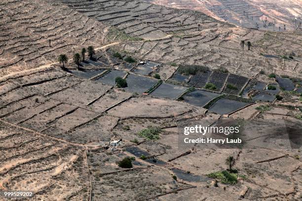 terraced fields, agriculture near haria, lanzarote, canary islands, spain - lava plain stock pictures, royalty-free photos & images