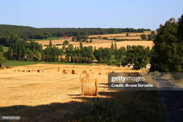 haystack - haystack stock pictures, royalty-free photos & images