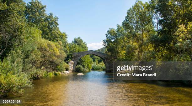 spin'a cavallu, genoese bridge, rizzanese valley, near sartene, corse-du-sud, corsica, france - genoese stock pictures, royalty-free photos & images