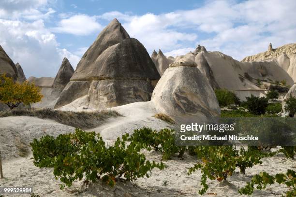 vines and tufa formations in love valley, nevsehir province, cappadocia, turkey - tufa stock pictures, royalty-free photos & images