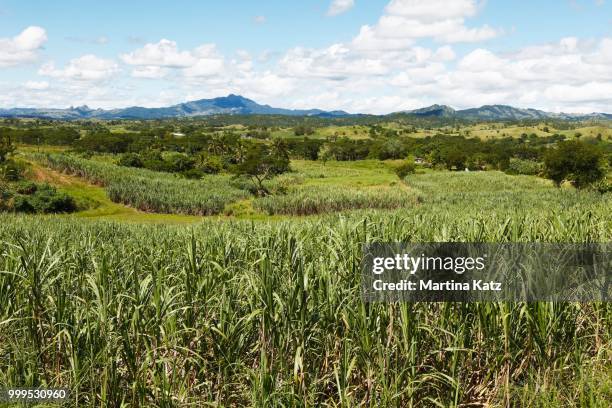 sugar cane fields, behind the nausori highlands, korovuto, viti levu, fiji - highland region stock pictures, royalty-free photos & images