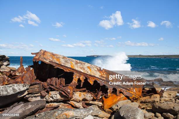 71 Minmi Stock Photos, High-Res Pictures, and Images - Getty Images