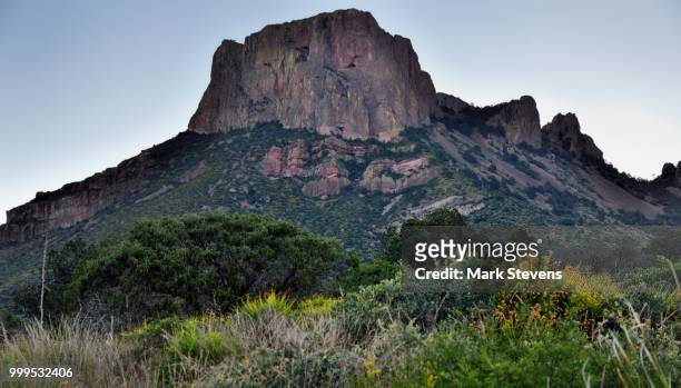 wildflowers and trees with a backdrop of casa grande peak - casa stock pictures, royalty-free photos & images