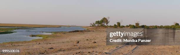 afrika feeling at the river - afrika afrika fotografías e imágenes de stock