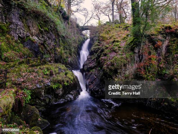 aira force - terry woods stock pictures, royalty-free photos & images