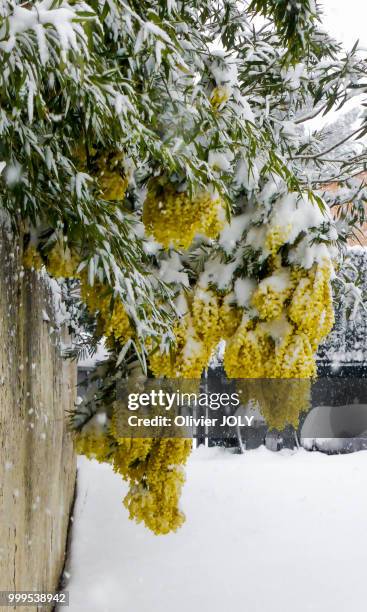 3,700 La Neige Stock Photos, High-Res Pictures, and Images - Getty